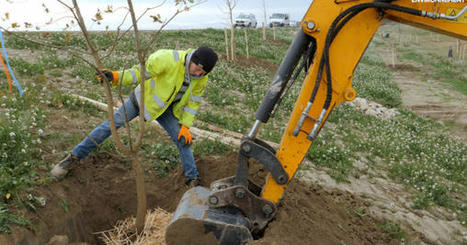 Des jardins-forêts plantés en plein cœur de ville | Energy Transition in Europe | www.energy-cities.eu | Scoop.it