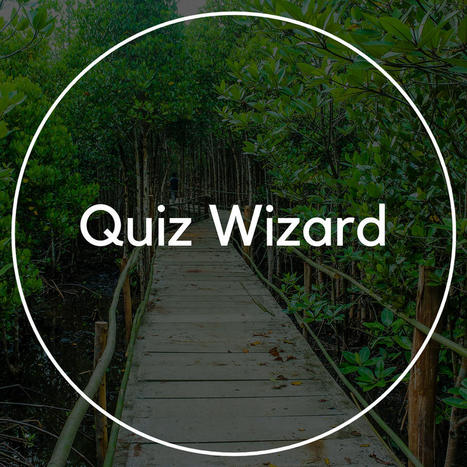 Quiz Wizard | L'eVeille | Scoop.it