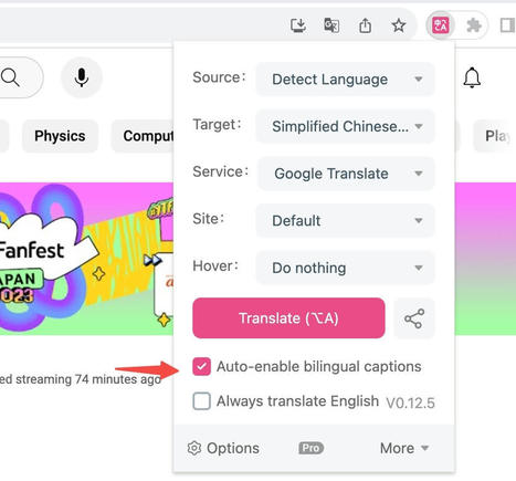 Free online video bilingual subtitle translator (Youtube, NetFlix, etc.) - Immersive Translate | Communicate...and how! | Scoop.it