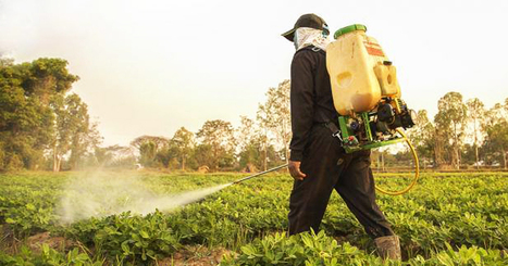Malte interdit le glyphosate et d&eacute;roge &agrave; l&rsquo;avis de la Commission europ&eacute;enne... Respect ! | ACTUALIT&Eacute; | Scoop.it