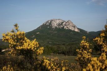 In the Corbières, the Pech de Bugarach, the top of the strange | Bugarach | Scoop.it