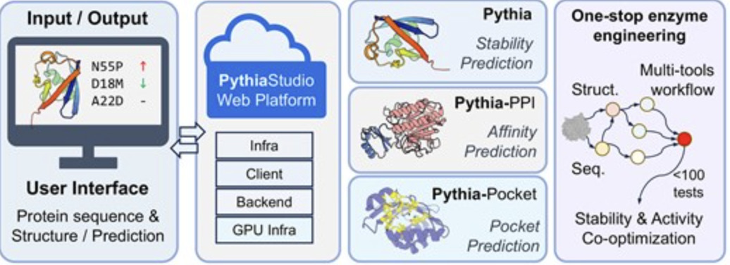 PythiaStudio: a one-stop protein engineering pl...