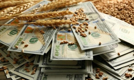 New wheat tender in TUNISIA shows importers willing to pay high price amid rising Black Sea wheat prices | MED-Amin network | Scoop.it