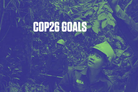 À un mois de la COP26, tous les enjeux de ce rendez-vous clé pour le climat | Vers la transition des territoires ! | Scoop.it