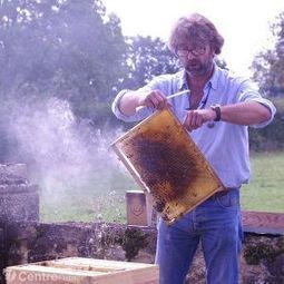 Cinq ruches et plusieurs milliers d’abeilles ont élu domicile dans le parc de l’abbaye | Variétés entomologiques | Scoop.it