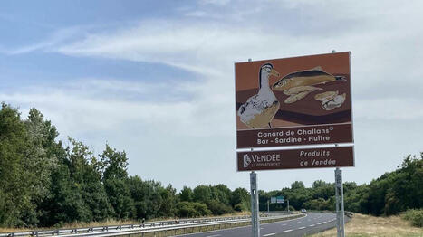 Mogette, sardine, canard… Des panneaux routiers pour faire la promotion des produits de Vendée - Ouest France [Abonnés] | Agriculture en Pays de la Loire | Scoop.it