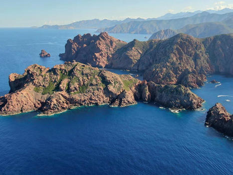 Lutter contre les espèces invasives sur les îlots corses | Biodiversité | Scoop.it