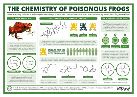 The chemistry of poisonous frogs, and how they avoid poisoning themselves | Prévention du risque chimique | Scoop.it