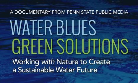 Water Blues, Green Solutions: Working with Nature to Create a Sustainable Water Future | Stage 4 Water in the World | Scoop.it