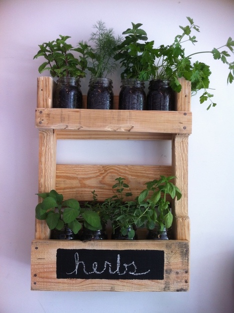 Pallet wall herb garden | 1001 Pallets ideas ! | Scoop.it