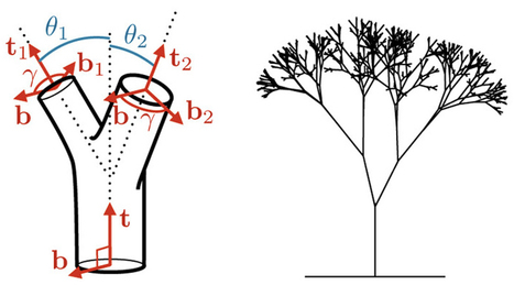 Leonardo’s Formula Explains Why Trees Don’t Splinter | Science News | Scoop.it