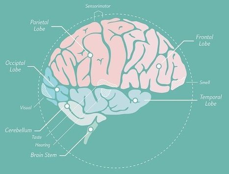 5 New Ways to Improve Your Memory via @sagamilena | ED 262 Research, Reference & Resource Skills | Scoop.it