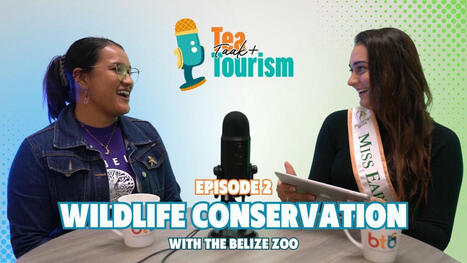 Tea, Taak + Tourism Episode 2 | Cayo Scoop!  The Ecology of Cayo Culture | Scoop.it