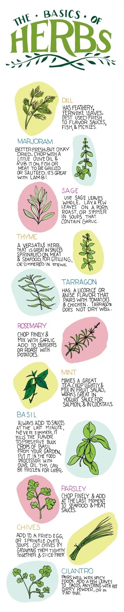 herbs | Eco-Friendly Lifestyle | Scoop.it