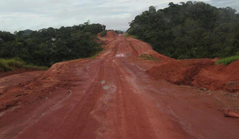 Record Amazon deforestation may be driven by highway projects | Rainforest CLASSROOM | Scoop.it