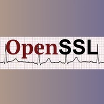 Anatomy of a data leakage bug - the OpenSSL "heartbleed" buffer overflow | ICT Security-Sécurité PC et Internet | Scoop.it