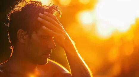 Voilà pourquoi la canicule de début juillet a été dramatique en France | Planète DDurable | Scoop.it