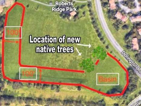 Newtown Township Approves Residents' Plan to Plant Native Trees in Roberts Ridge Park | Newtown News of Interest | Scoop.it