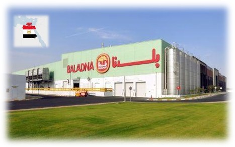 Le groupe qatari Baladna veut investir 1,5 milliard $ en Égypte | Lait de Normandie... et d'ailleurs | Scoop.it