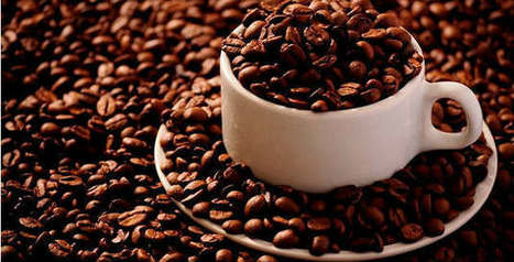 Café : baisse de la production au Brésil, premier producteur mondial | Questions de développement ... | Scoop.it