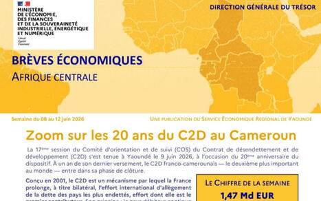 Br&egrave;ves &eacute;conomiques d'Afrique centrale - Semaine du 08 au 12 juin 2026 | Revue de Presse Afrique francophone par Service International de CCI Normandie | Scoop.it