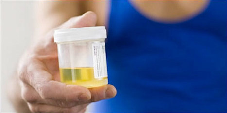 How To Flush Marijuana Out Of Your System | Marijuana, Cannabis, Longevity, Legacy | Scoop.it