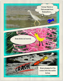 The Book Chook: Children's iPad App, Strip Designer | Writing Activities for Kids | Scoop.it