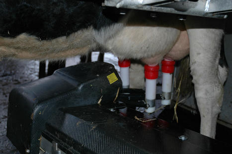 Le prix du lait standard en recul de 6 €/1000 l en 2020 | Economie de l'Elevage | Scoop.it