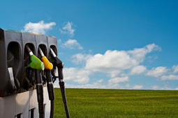 Agrocarburants : un juteux business sur le dos de la collectivit&eacute; - Energie - Basta ! | Ecor&eacute;action ou &eacute;colophobie | Scoop.it