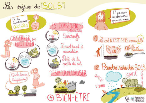 Inscription du ZAN dans le PLUi de Bordeaux M&eacute;tropole &mdash; | Veille UrbaLyon : Planification urbaine -  Plan local d'urbanisme | Scoop.it