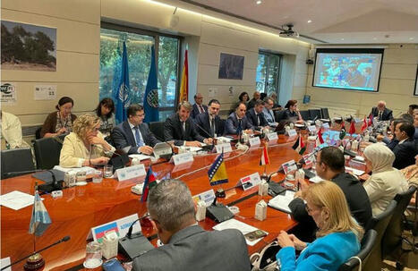 El COI refuerza su rol en calidad, sostenibilidad e innovación del sector oleícola | OLIVE NEWS | Scoop.it