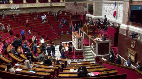 Protection de l'enfance : l'Assemblée nationale adopte définitivement le projet de loi | Veille informative du CDIR de Croix-Rouge Compétence Occitanie | Scoop.it
