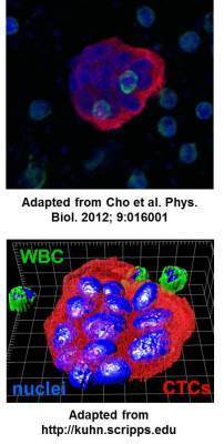 How to Sort Circulating Tumor Cells Part III - CTC Engineer - Blogs | from Flow Cytometry to Cytomics | Scoop.it