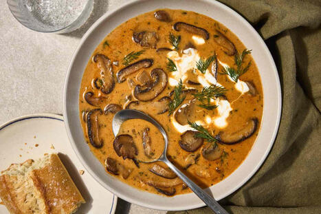 Hungarian Mushroom Soup | Best  Healthy Living Scoops | Scoop.it