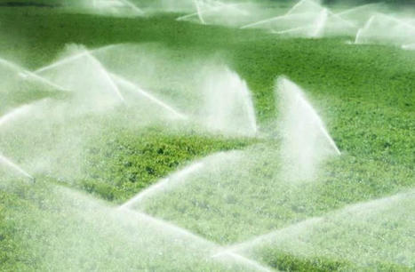 Combien l'agriculture consomme d'eau - Observatoire des Aliments | Pour innover en agriculture | Scoop.it