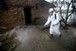 What happened to bird flu? Deaths continue, new strain outsmarts poultry vaccine in Vietnam | Virology News | Scoop.it