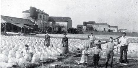 Quand la petite couronne de Paris était maraîchère | HORTICULTURE | Scoop.it