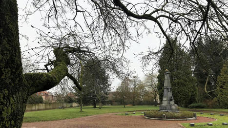 &Agrave; Faches-Thumesnil, une microfor&ecirc;t de 1500 arbres va &ecirc;tre plant&eacute;e au parc Jaur&egrave;s | Nature en ville | Scoop.it