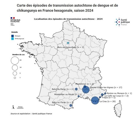 Moustique-tigre : le risque d’épidémie est « assez élevé » dans les cinq prochaines années, alerte l’Anses | EntomoNews | Scoop.it