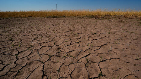 INDIA: An agriculture&rsquo;s polycrisis moment | ASIES | Scoop.it