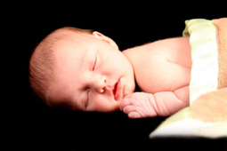 AFTON DAISY/AFTON TODD (Unisex names) | Name News | Scoop.it