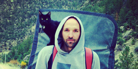 Millie The Adopted Cat Is The Best Climbing Partner Ever | 16s3d: Bestioles, opinions & pétitions | Scoop.it