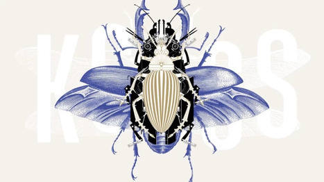 Entomo-calendrier Décembre 2025 | Variétés entomologiques | Scoop.it