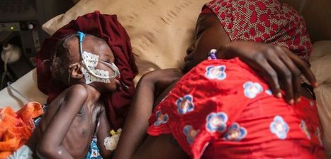Nigeria : Get Ready for Another Famine-Fueled Migrant Crisis | AFRIQUES | Scoop.it