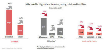 E-pub : le digital devient le 2e media en France, devant la presse | Digital News in France | Scoop.it