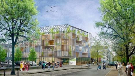 Et si l’agriculture de demain se trouvait au-dessus de nos têtes ?   – EURACTIV.fr | ESPACES VEGETALISES URBAINS | Scoop.it