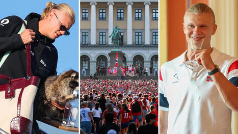 Fotbolls-VM &bull; Erling Haaland d&ouml;k upp med en tv&auml;ttbj&ouml;rn n&auml;r Norge landade | Lehti | Scoop.it