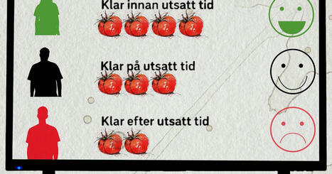 Tomatplockare i Frövi rankas inför kollegor | 1Uutiset - Lukemisen tähden | Scoop.it
