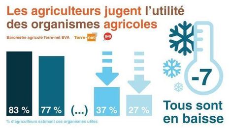 Organismes agricoles: les agriculteurs les estiment utiles mais... | Lait de Normandie... et d'ailleurs | Scoop.it