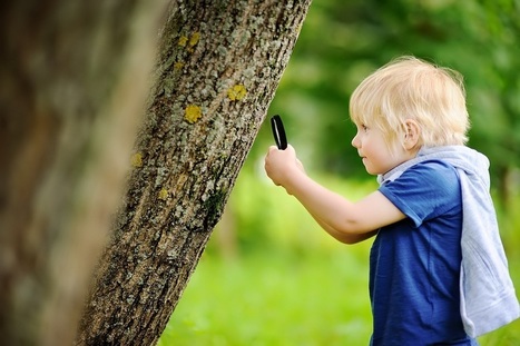 ¿La clave de la curiosidad? Hacer las preguntas correctas — | Educación, TIC y ecología | Scoop.it